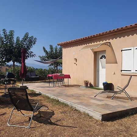 Studio Mitoyen A La Campagne Vue Sur La Mer Cargèse 외부 사진