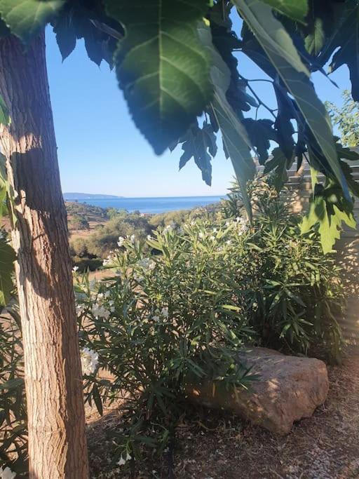 Studio Mitoyen A La Campagne Vue Sur La Mer Cargèse 외부 사진
